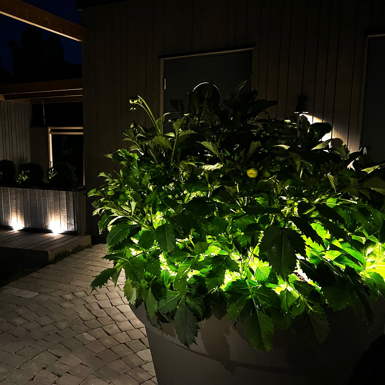 STRIP LED strip (5m)