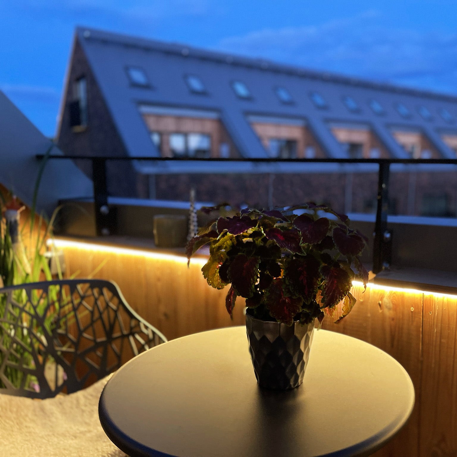 STRIP LED strip (2.5m)
