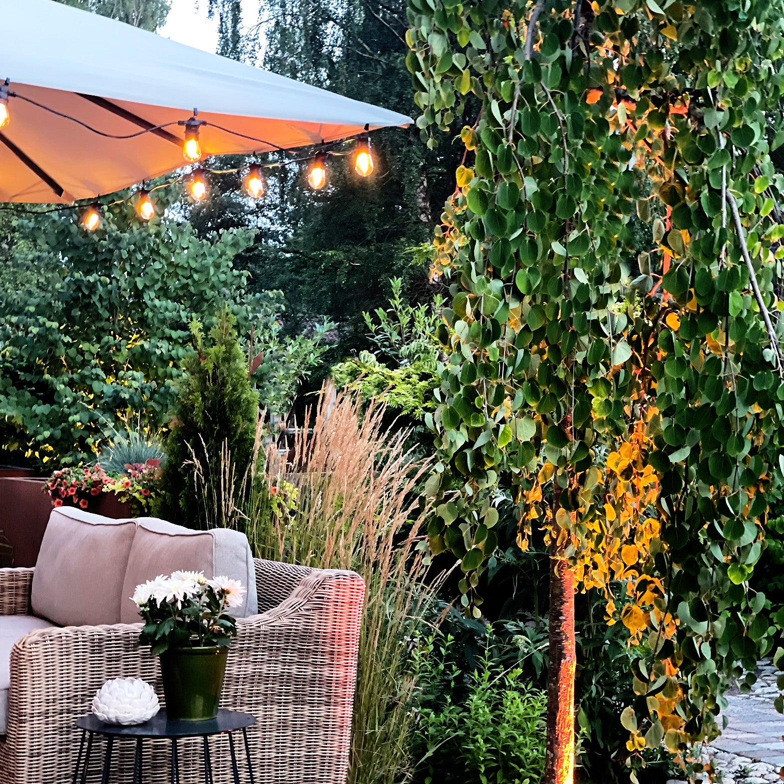 cosy lightson parasol daytime