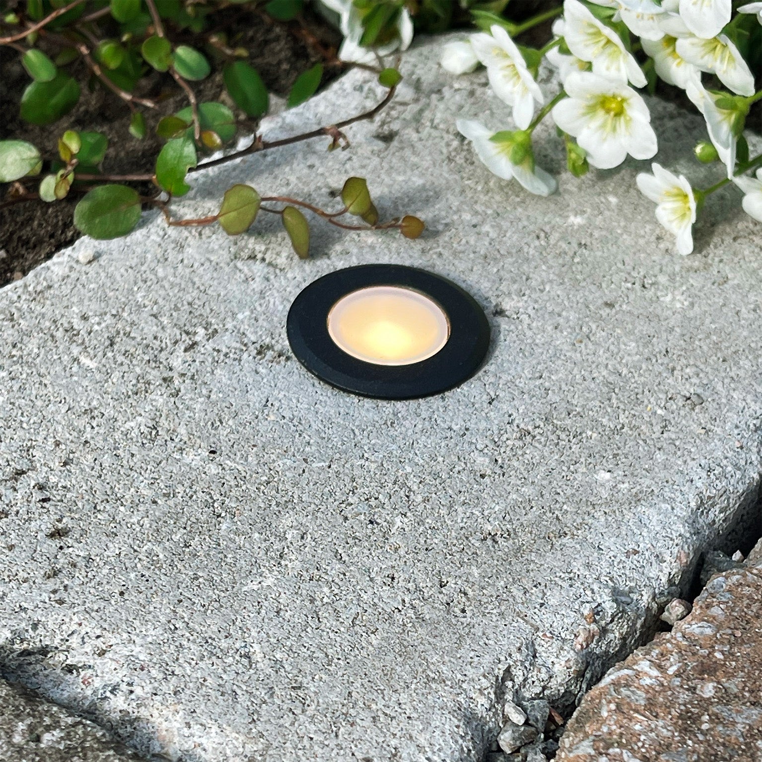 ORION x 1 deck light (black)