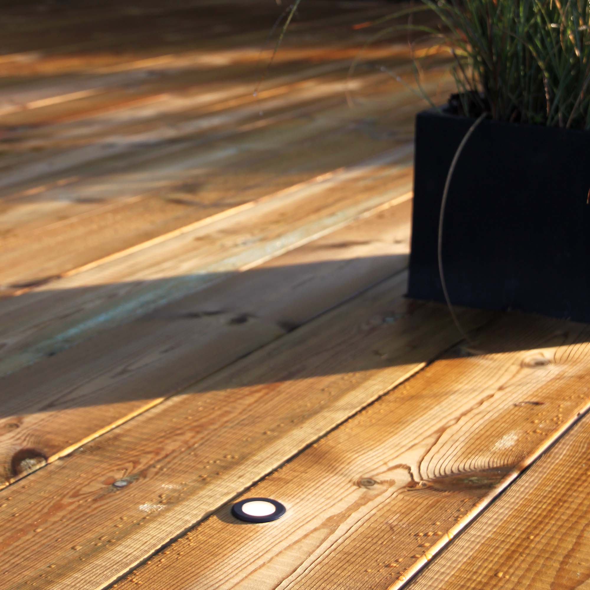 ORION x 1 deck light (black)