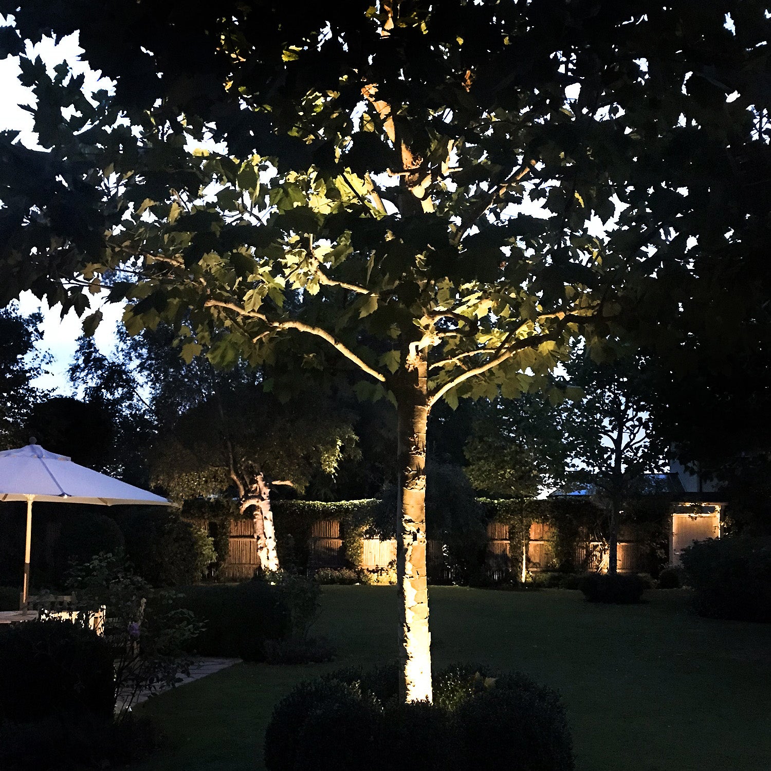 luna lightson garden poppel