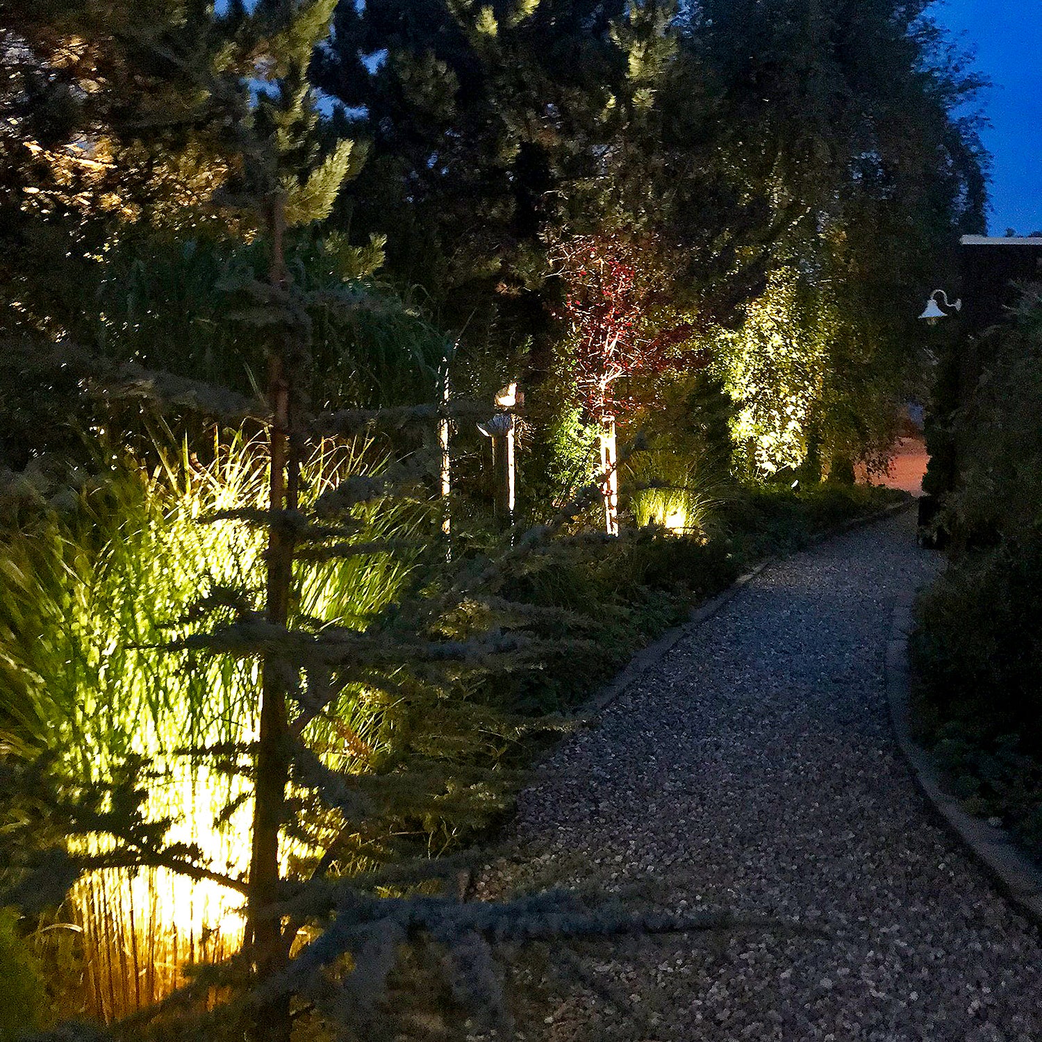 Luna Start (mørkegrå)