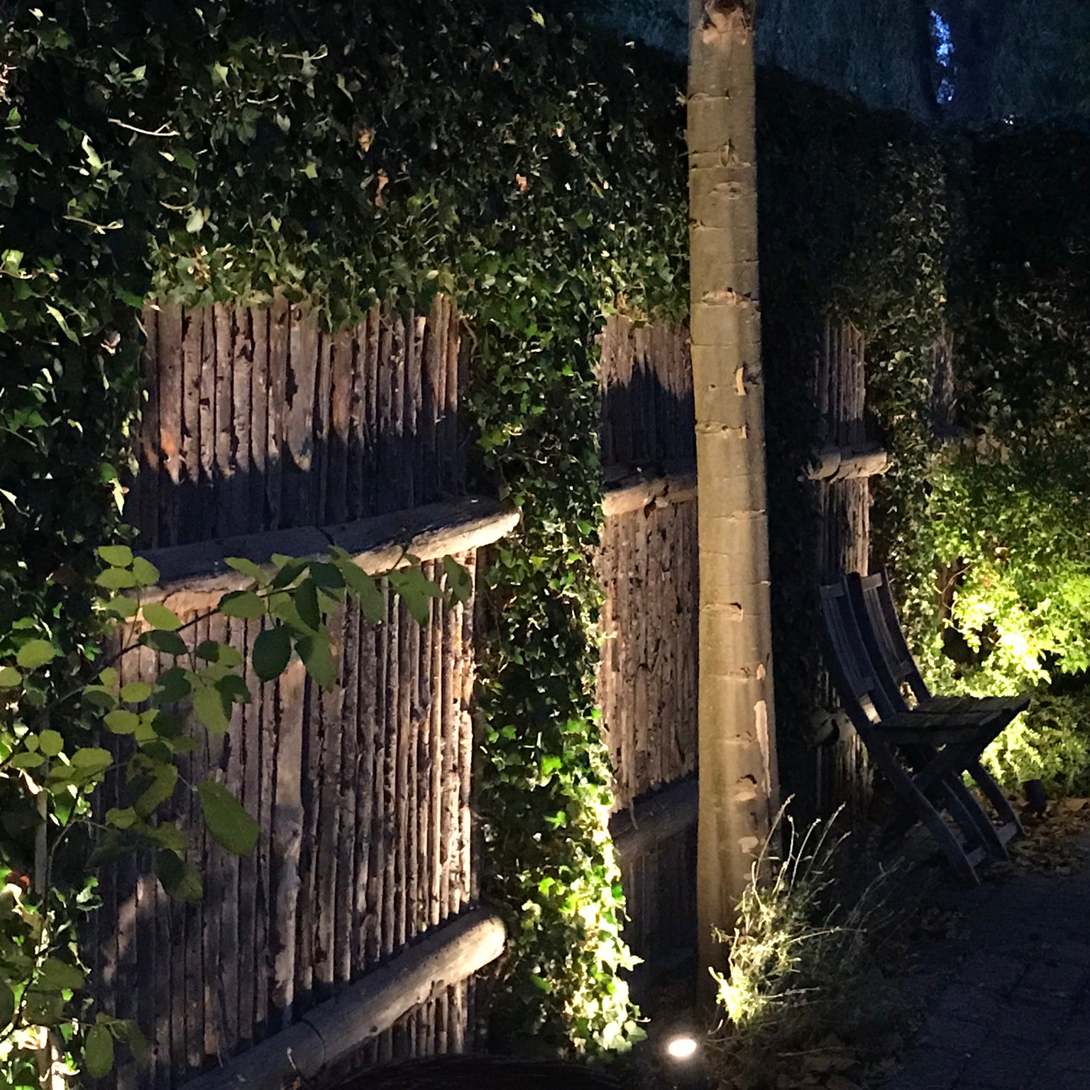 luna grey lightson environment garden fence