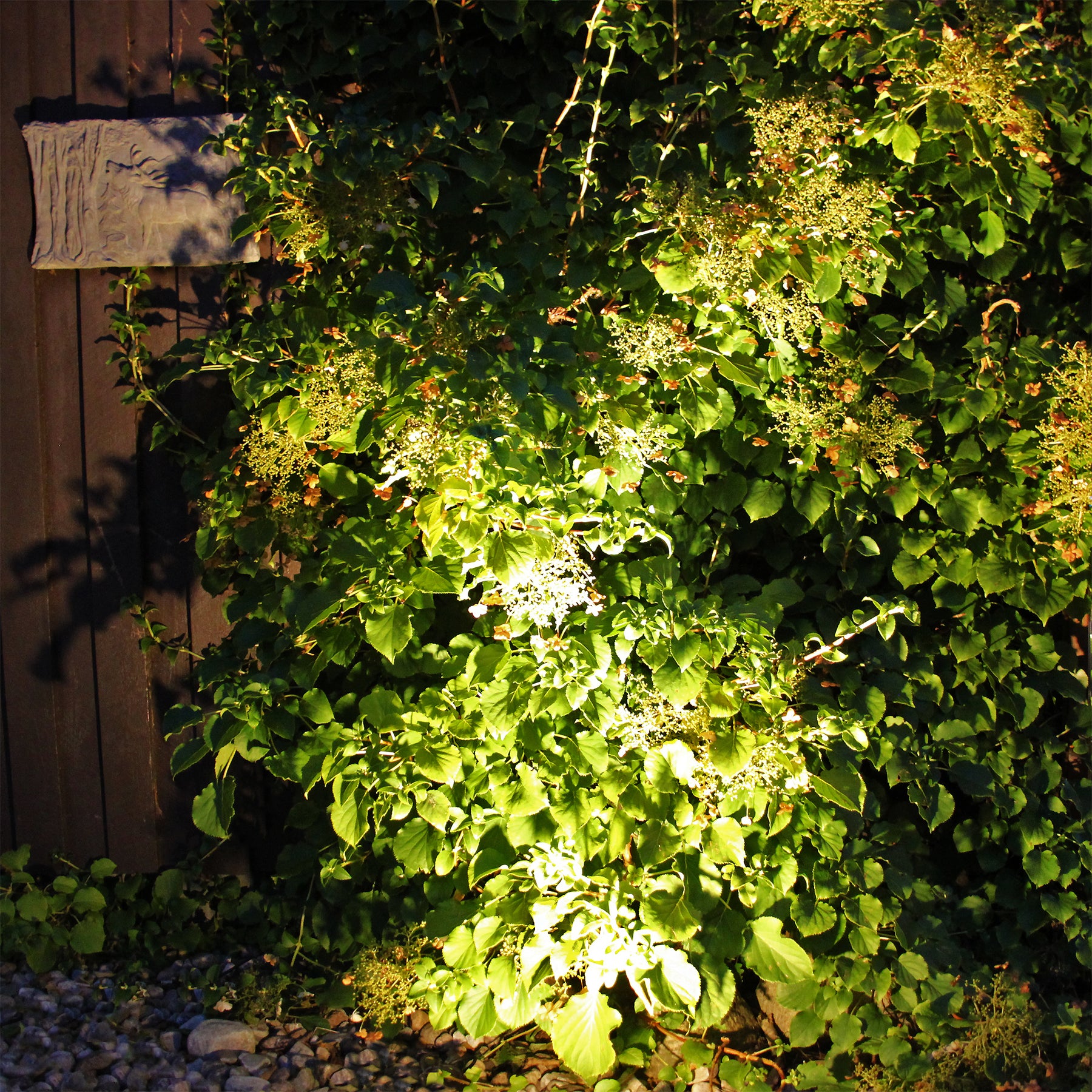 Luna Start (mørkegrå)