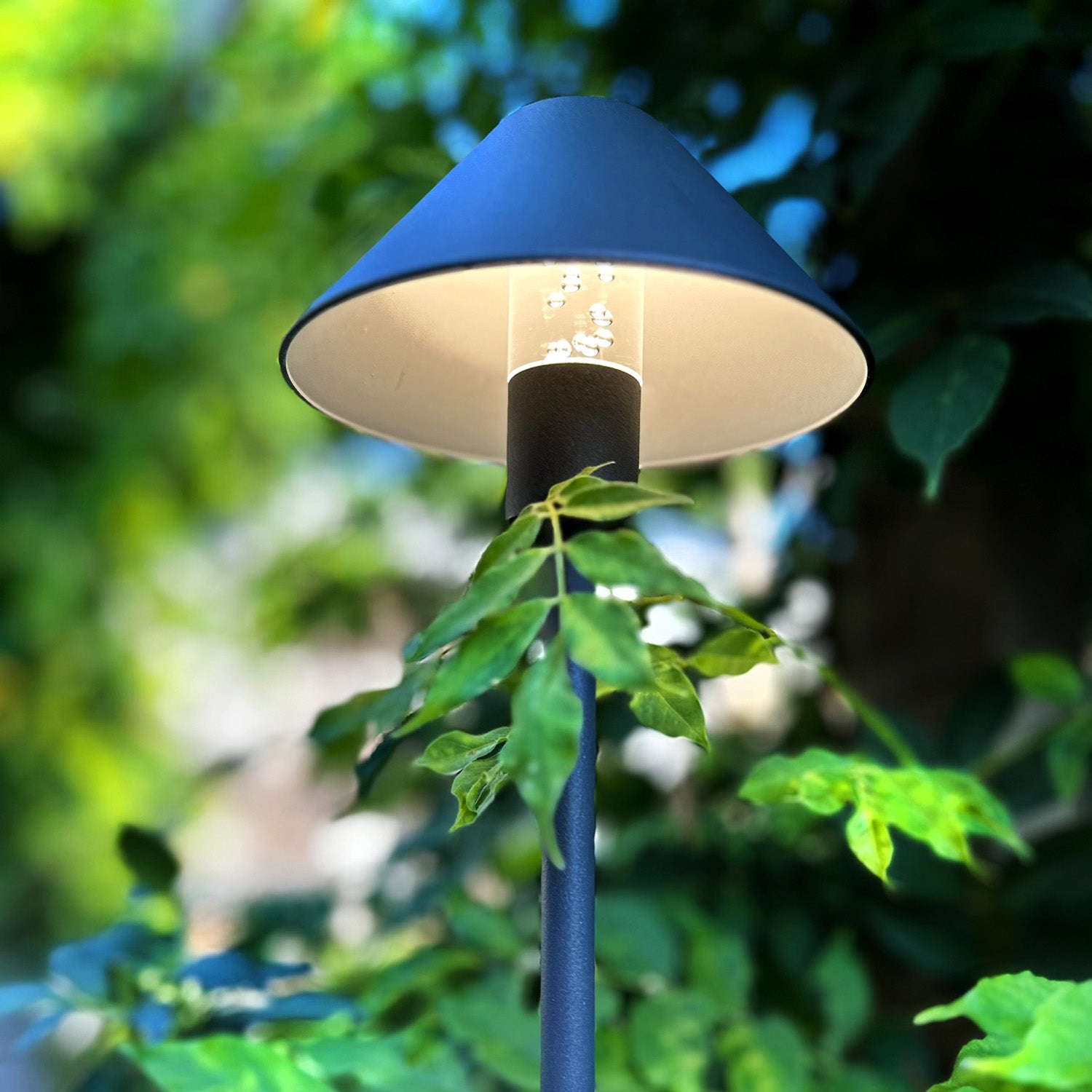 Apolloflex lightson one frombelow