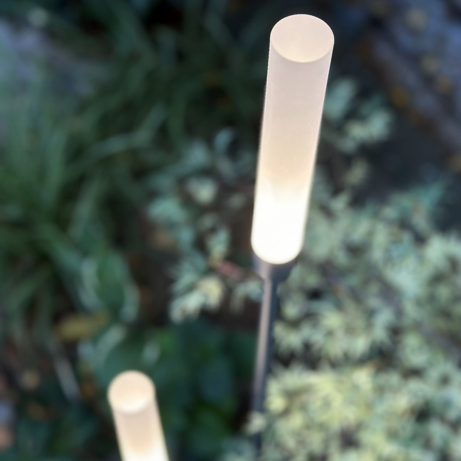 frost lightson closeup above