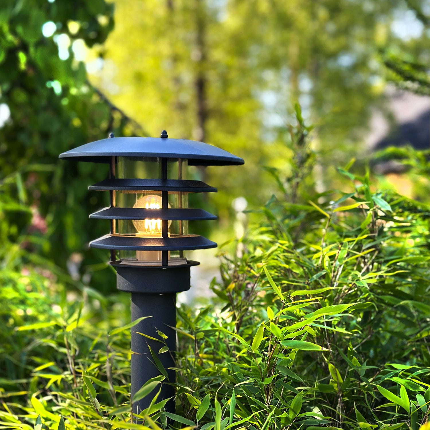 Saturnus grey lightson environ bamboo