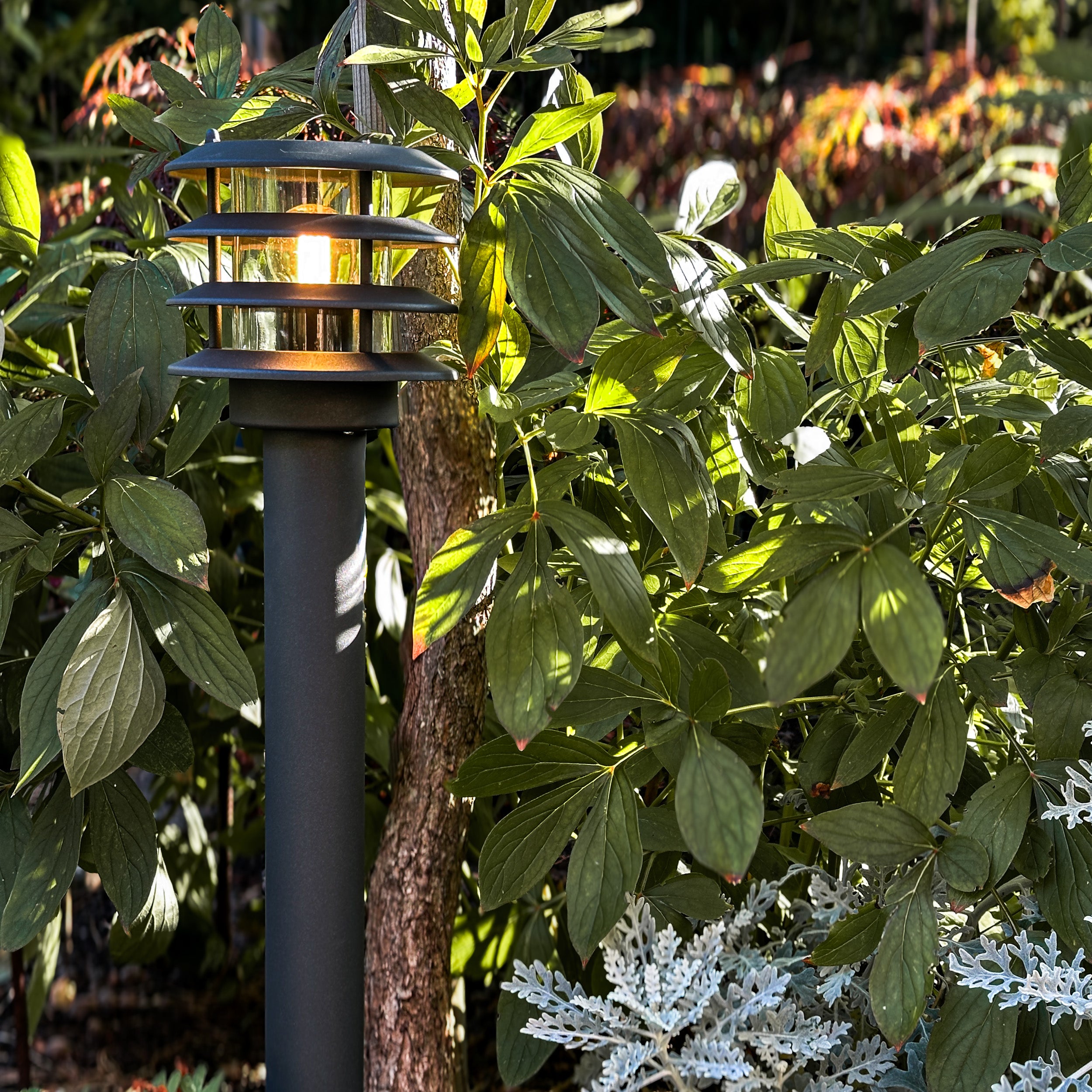 Jupiter lightson environment tree