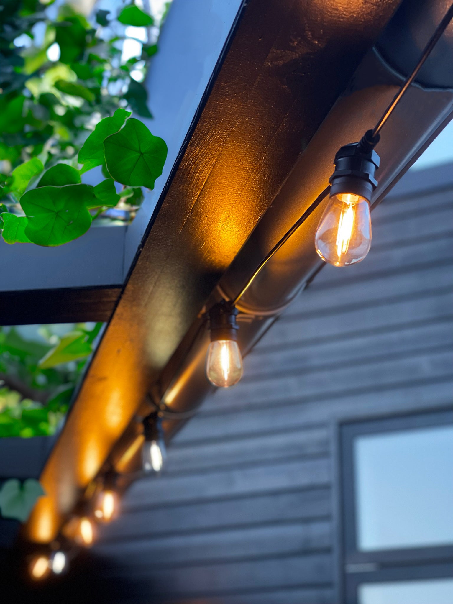 COSY festoon lights (warm white)
