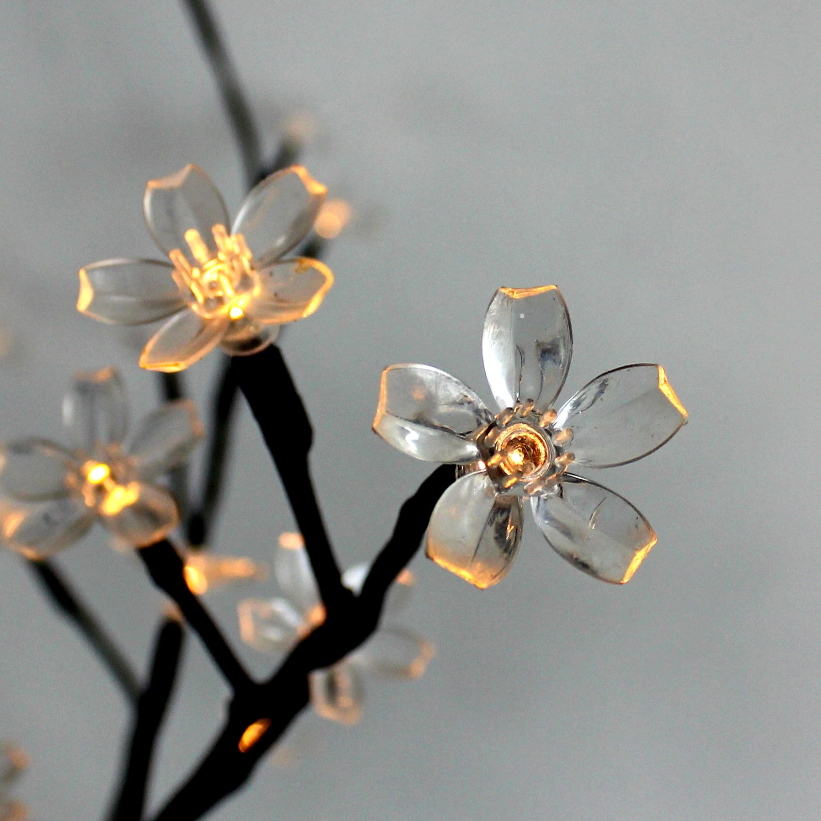 BLOOM tillbehör