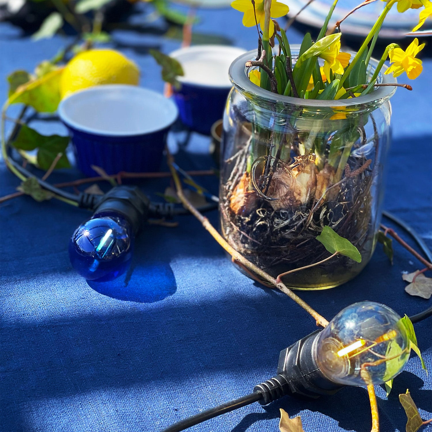 Deco pære, E27 12V (varm hvid)