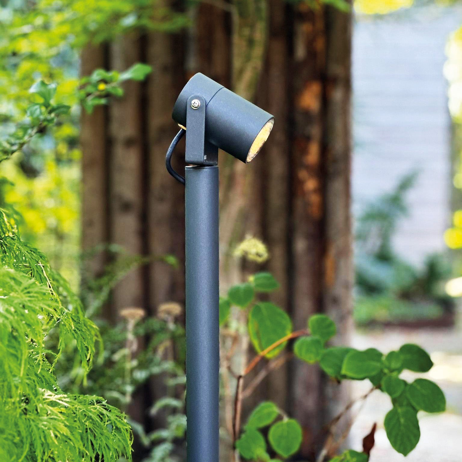 Luna65 grey lightson acer treebg