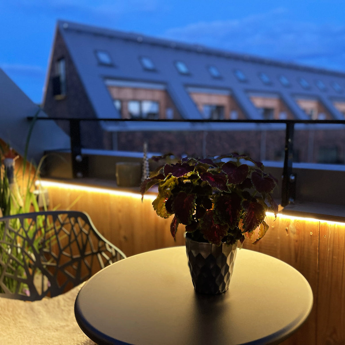 STRIP led strip (2,5m)