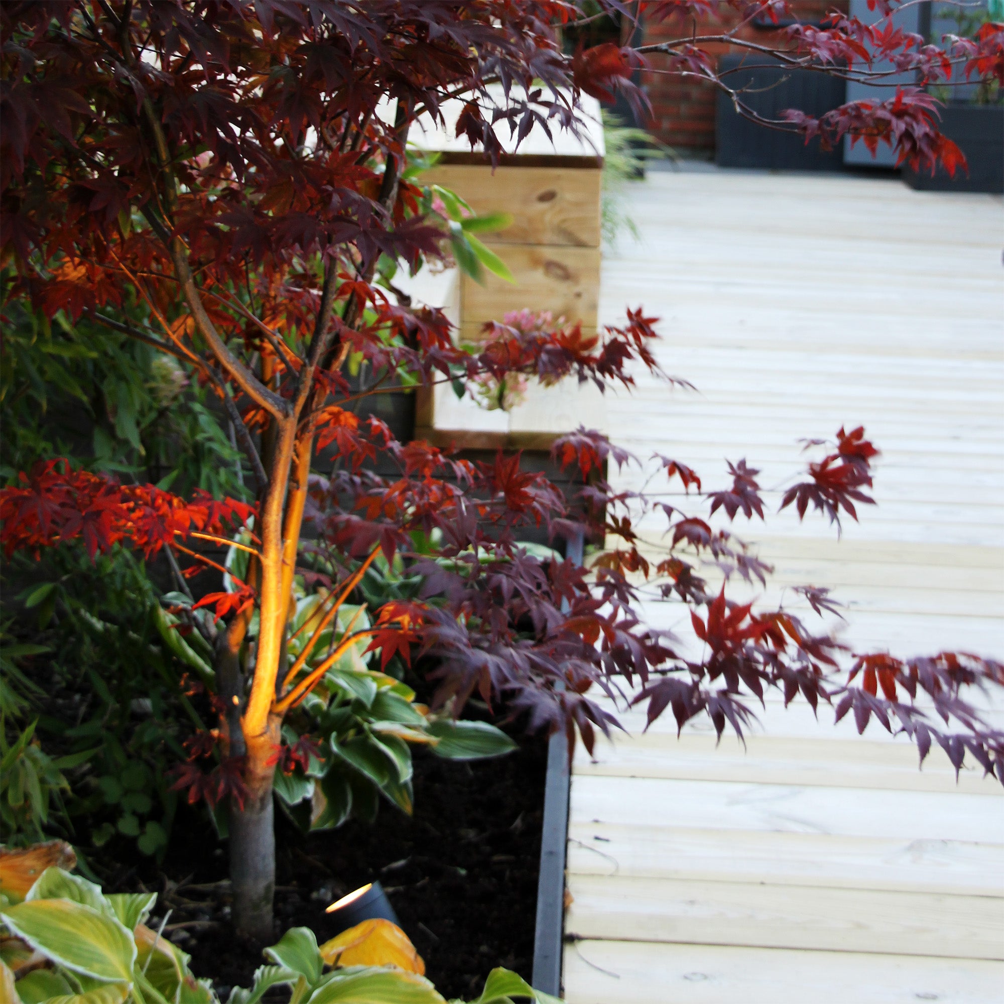luna grey lightson environment acer