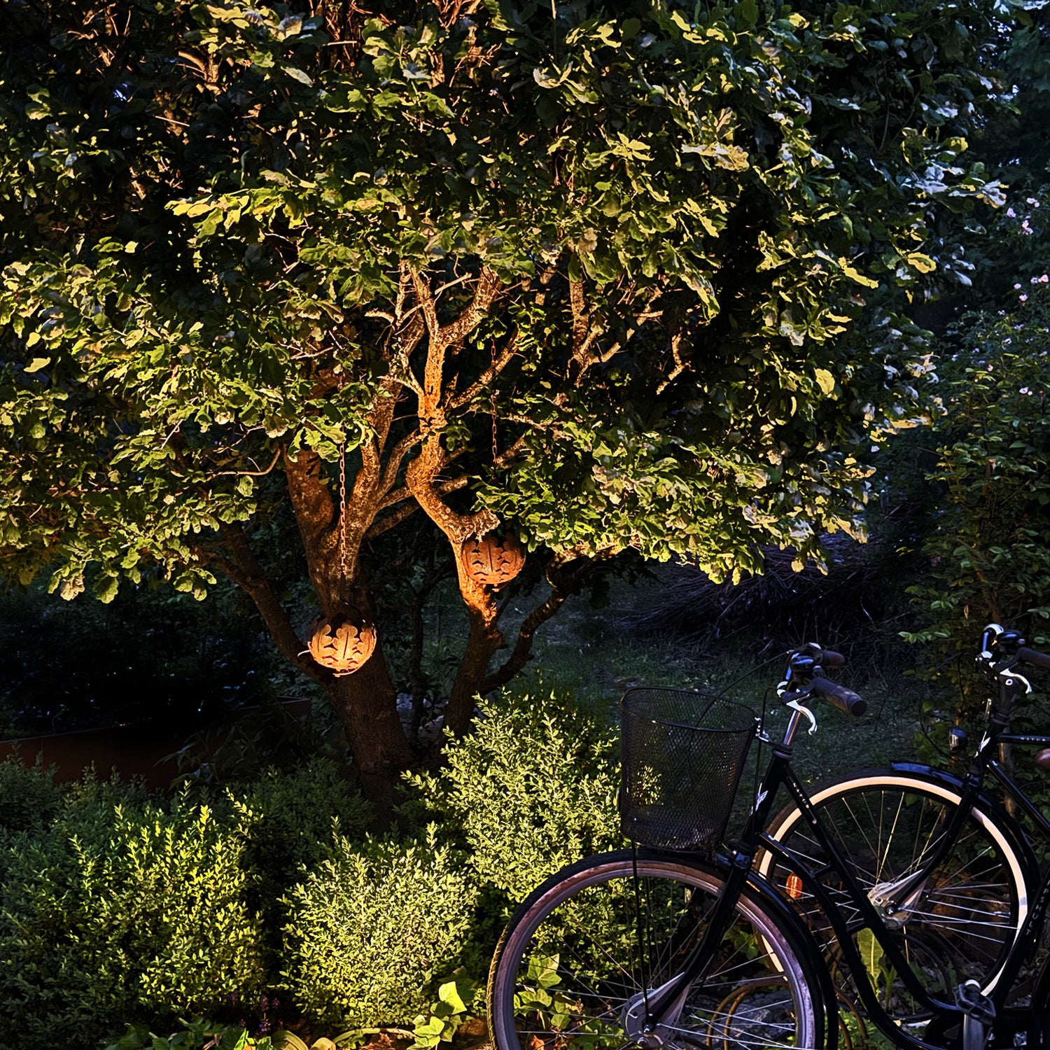 luna lightson grey bikes