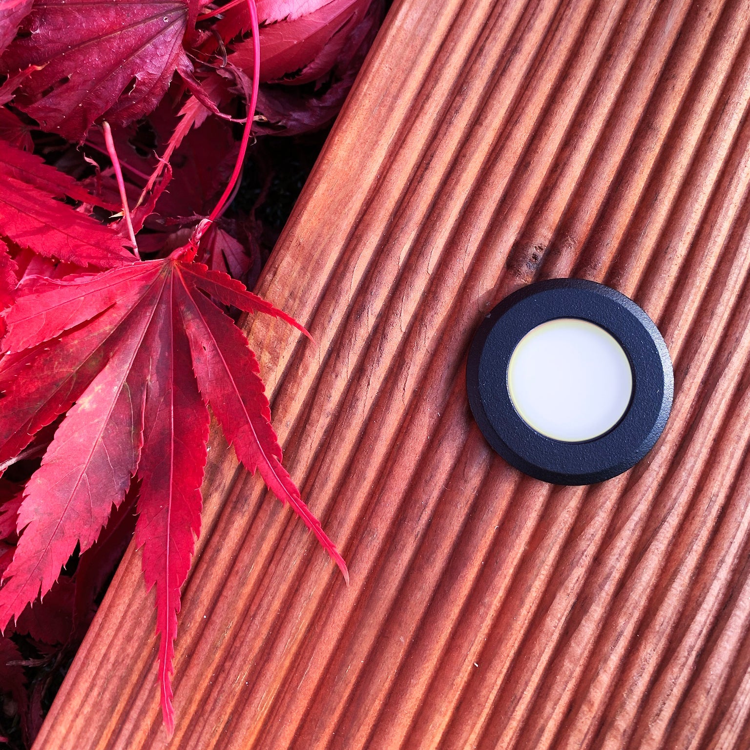 ORION x 1 deck light (black)