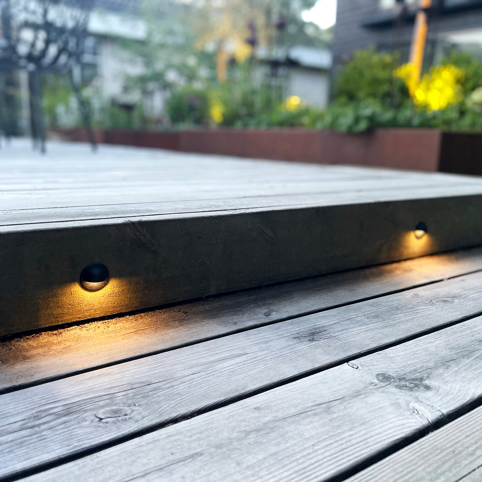 ARIES x 4 step light (black)