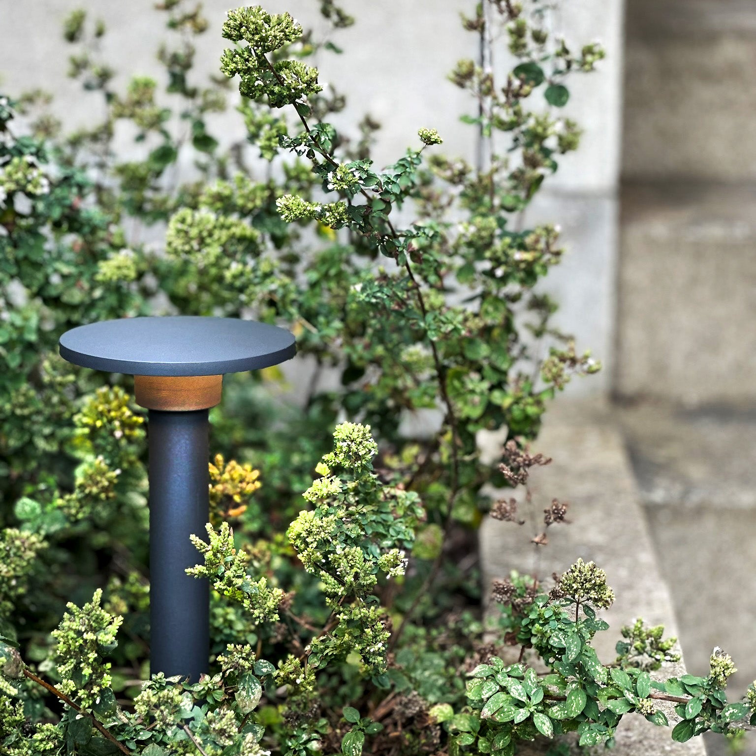 orbit lightson environ concrete