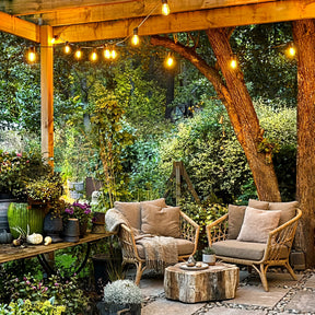 COSY START festoon lights (vintage)