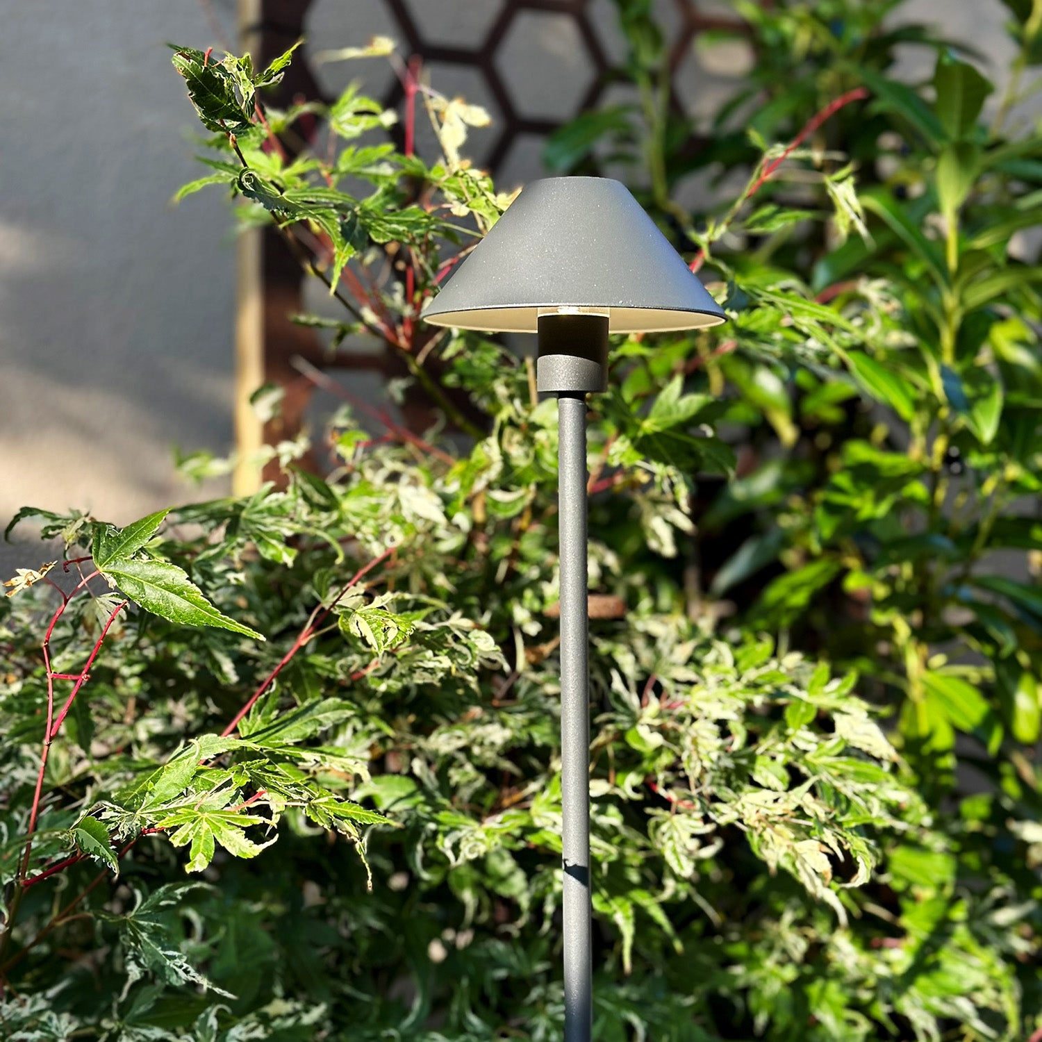 Apolloflex lightson one acer corten