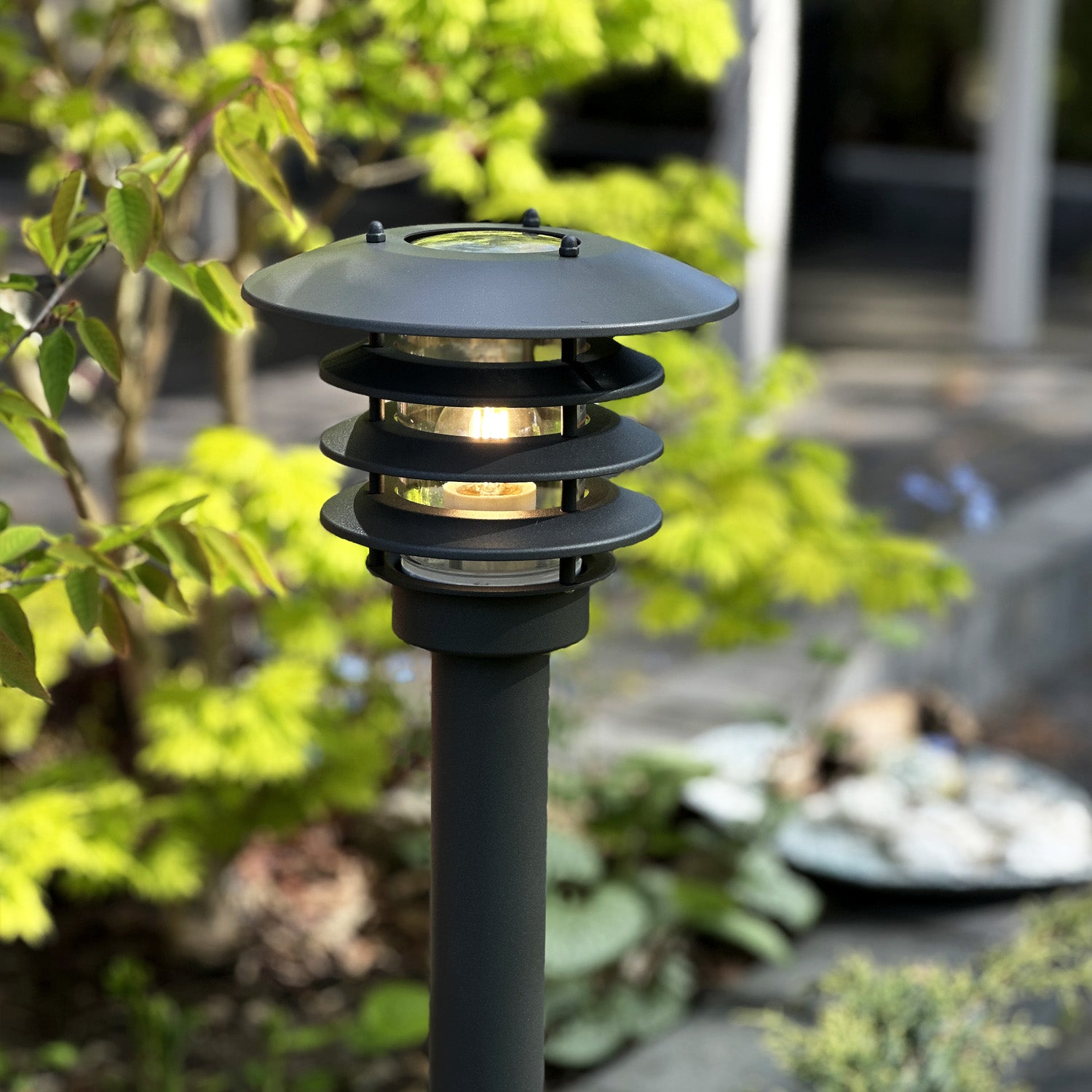 Saturnus grey lightson closeup greenary
