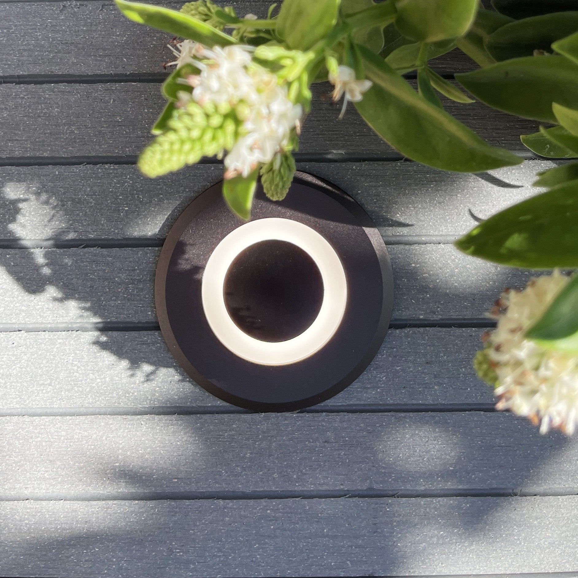 LYNX deck light (dark grey)
