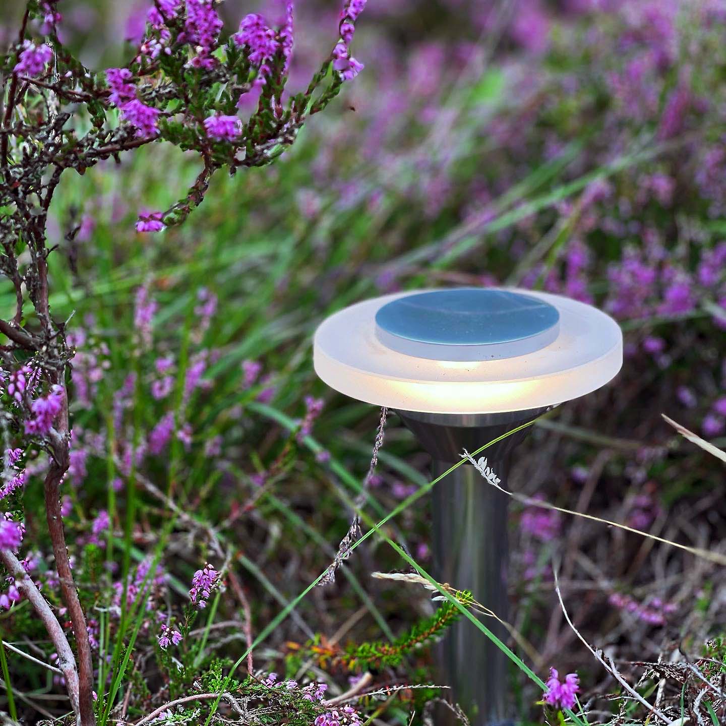 ELLIPS bollard