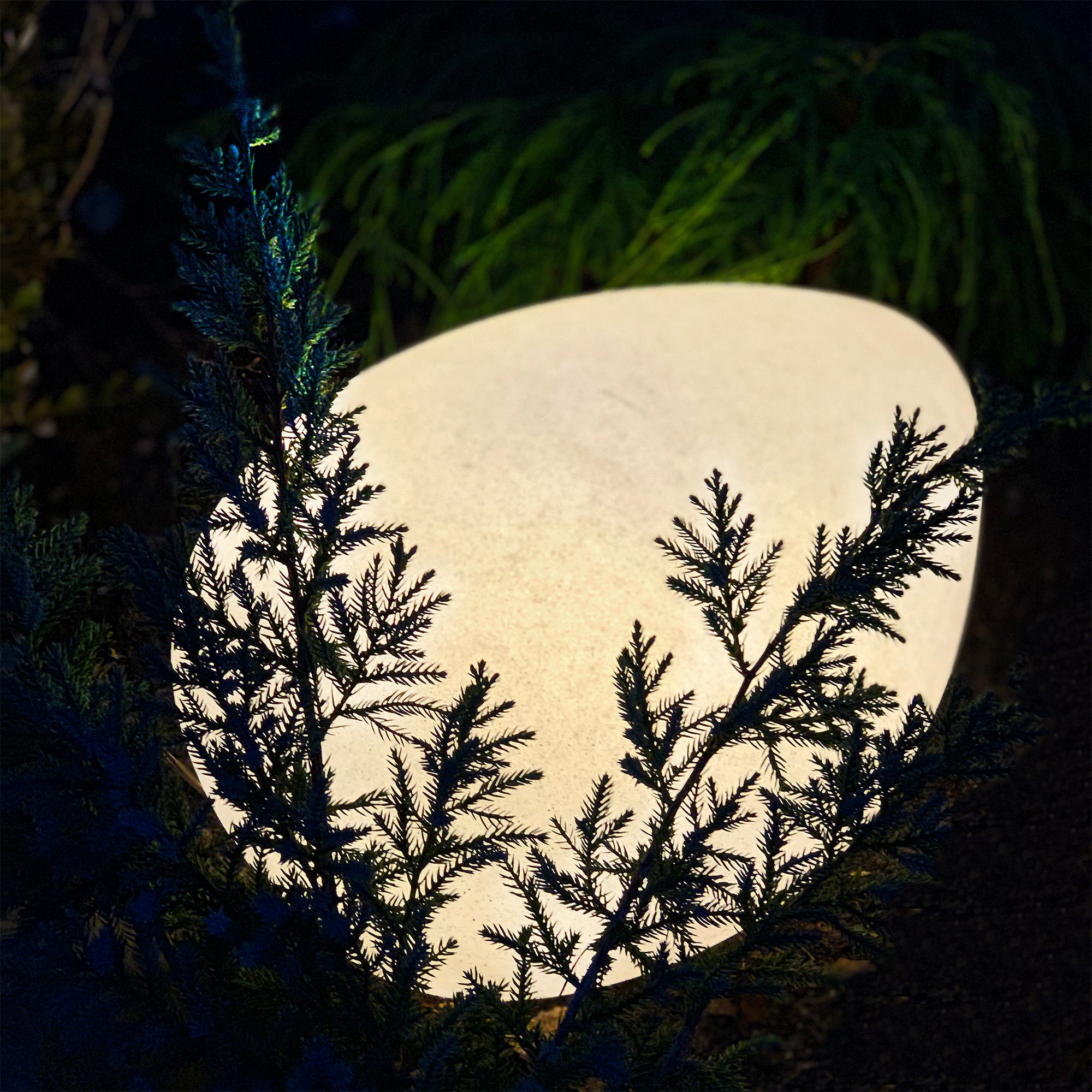 STONE XL
