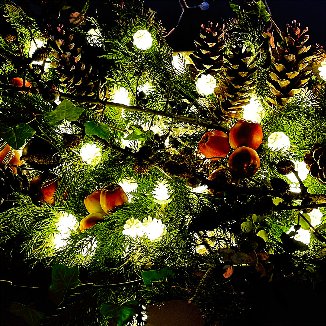 PINE ljusslinga